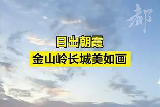 阿利森谈完美门将：埃德森+奥布拉克+塔法雷尔+自己